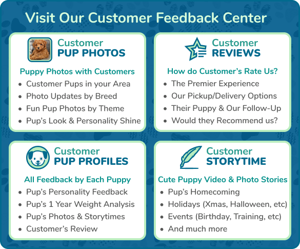 Florida Fur Babies Photos