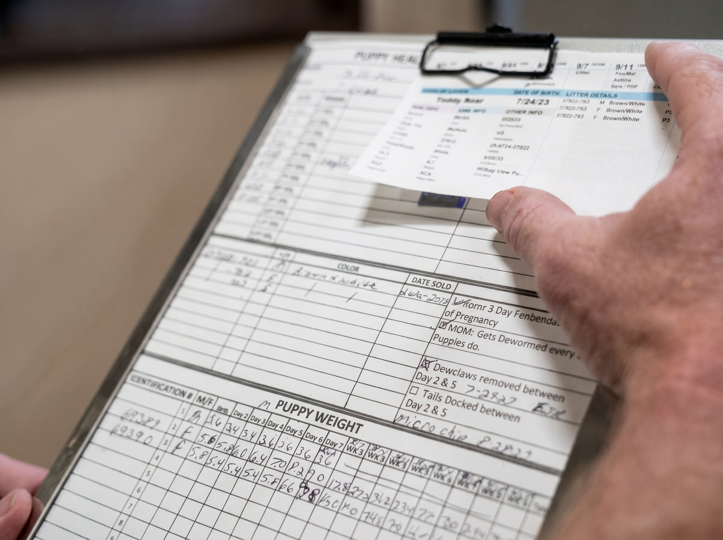 Accountability requires transparency