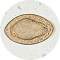 Tapeworms