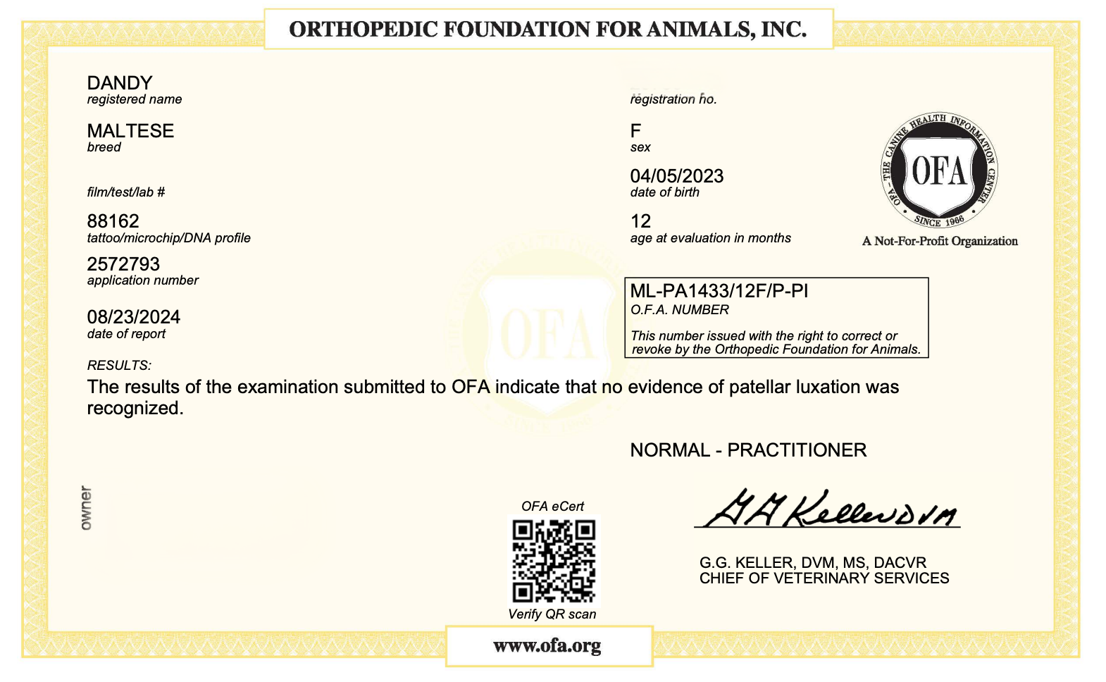 OFA health testing and screening for breeding dogs