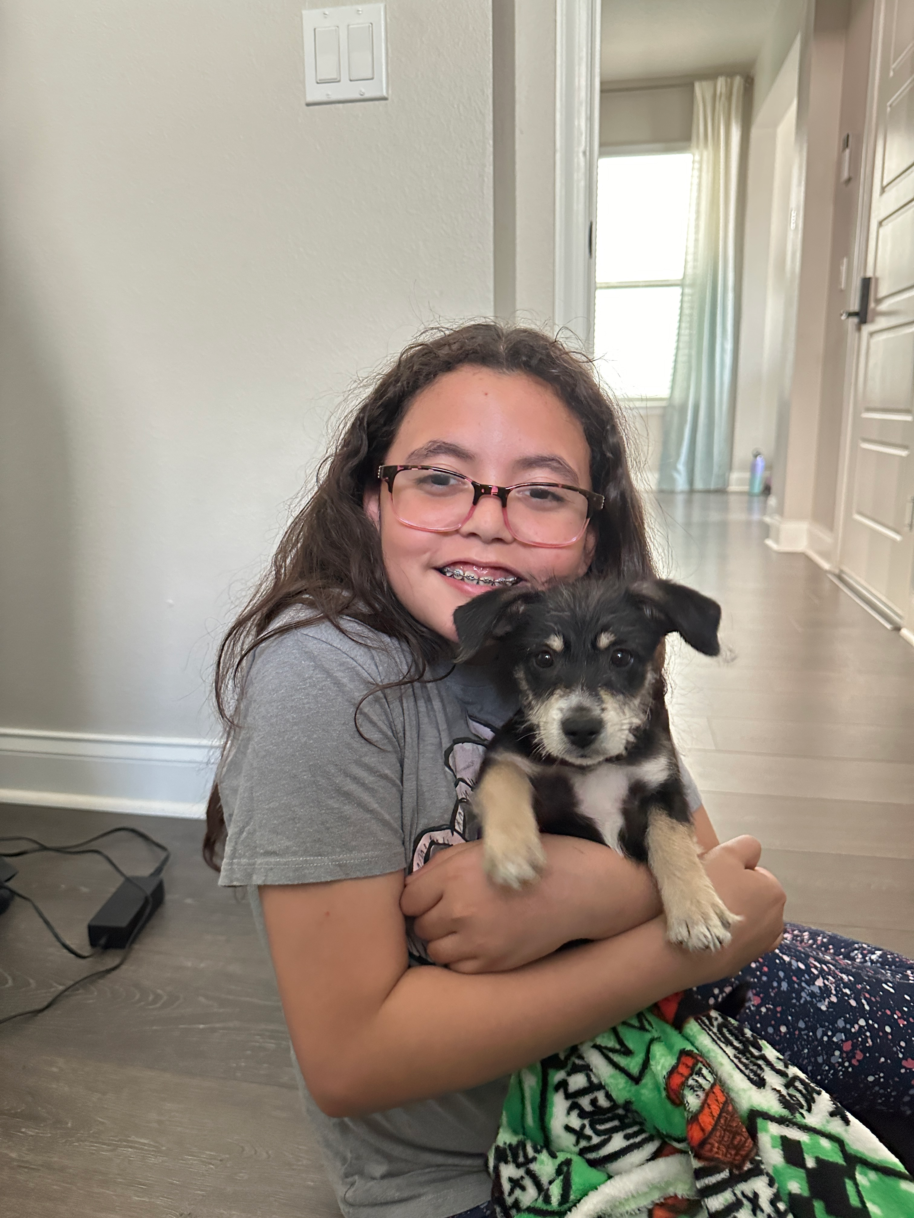 Hypoallergenic Australian Designer Puppy
