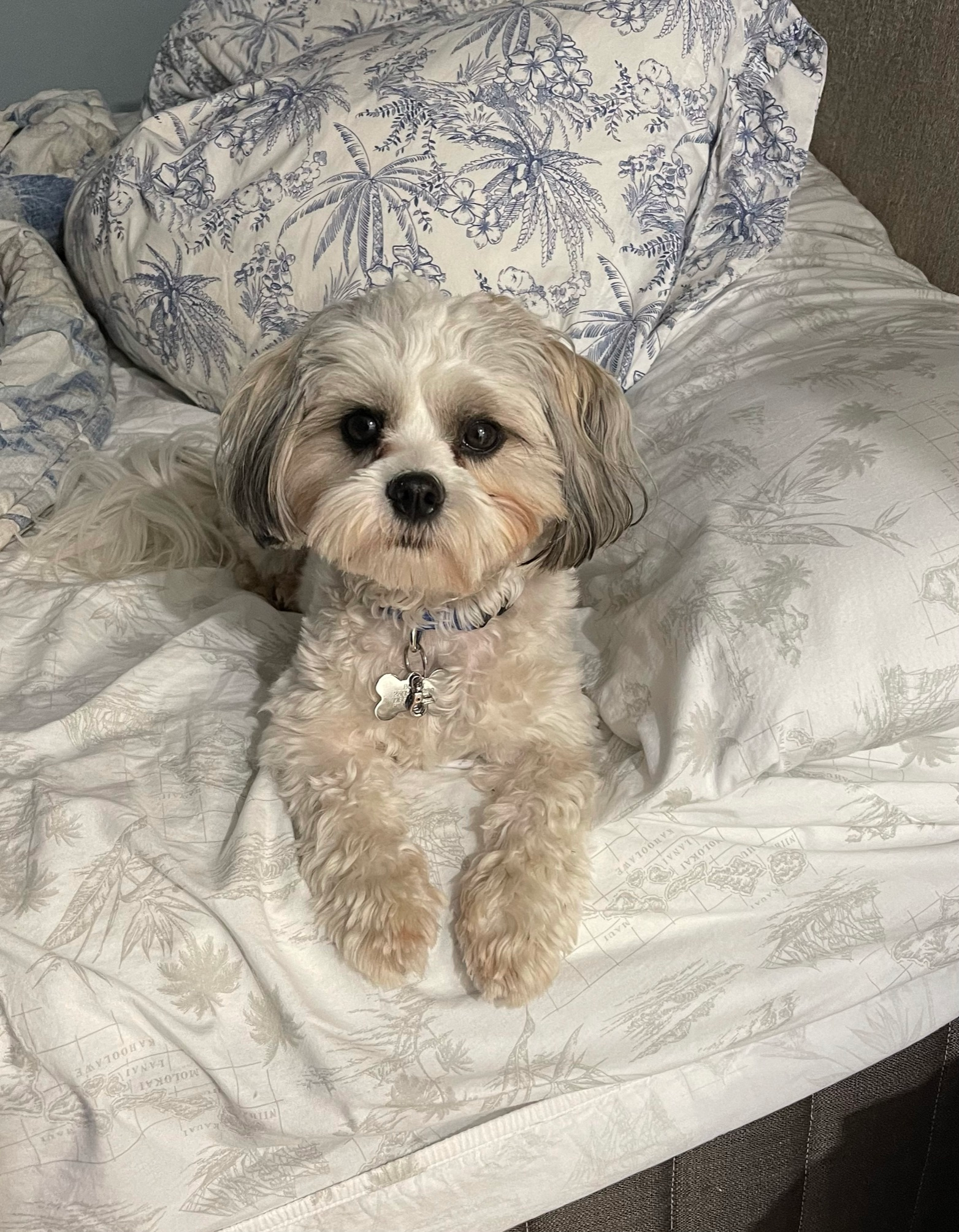 Happy Teddy Bear Baby