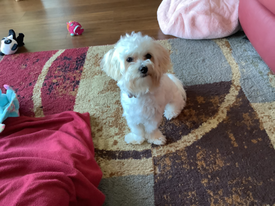 Kadie