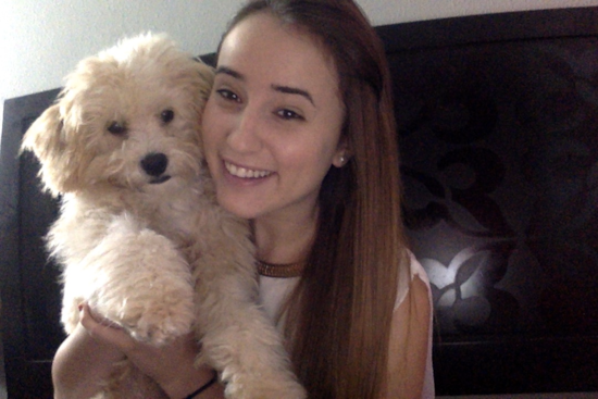 Havanese