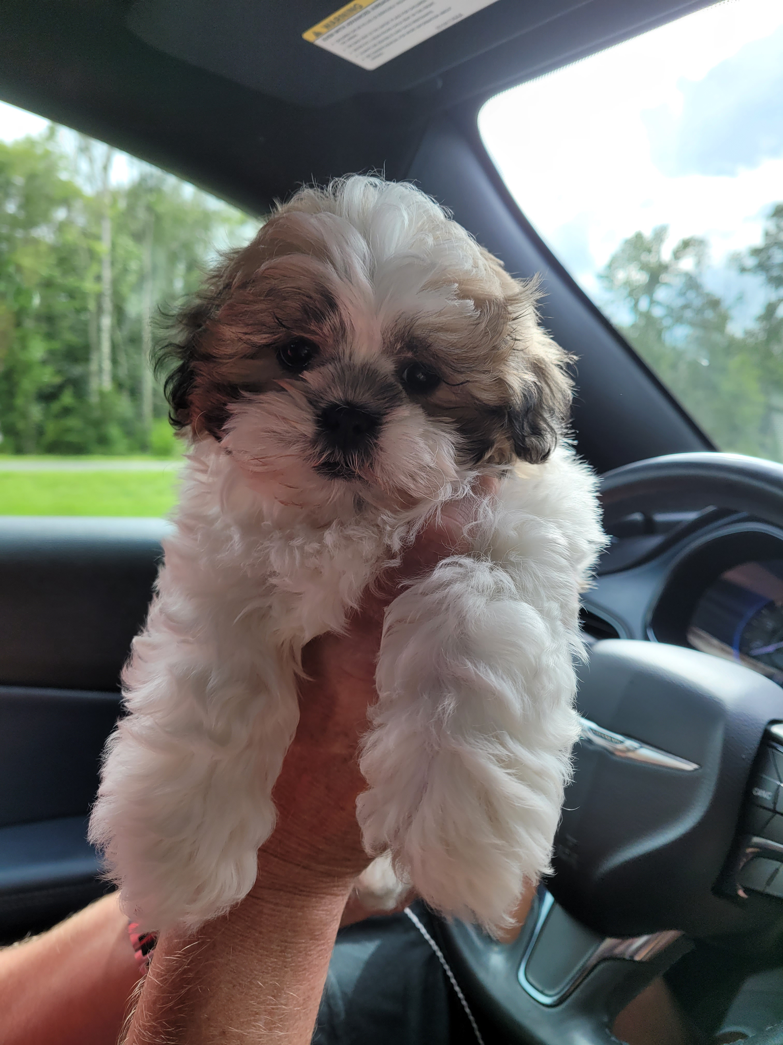 Cute Teddy Bear Baby