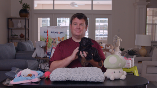 Florida Fur Babies If you’re searching for Mini Aussiedoodle Puppues in Florida, here’s the real question. Trending Video