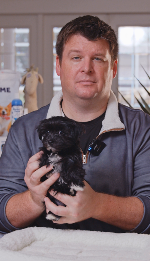 Florida Fur Babies Morkie Puppies are small in size, but huge in personality. Trending Video