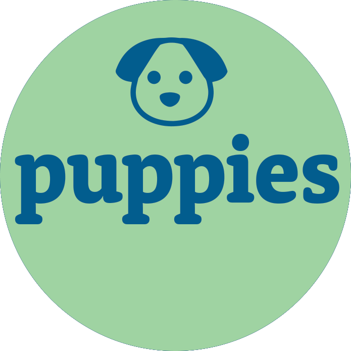 View All Puppies For Sale - Florida Fur Babies