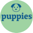 View All Puppies For Sale - Florida Fur Babies