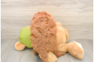 Mini Goldendoodle Pup Being Cute