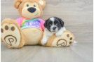 Best Teddy Bear Baby