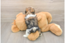 Best Teddy Bear Baby