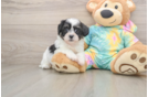 Best Teddy Bear Baby