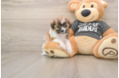 Best Teddy Bear Baby