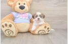 Best Teddy Bear Baby