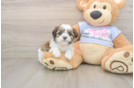 Small Teddy Bear Baby