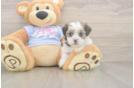 Best Teddy Bear Baby