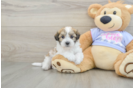 Cute Teddy Bear Baby