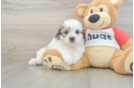Friendly Teddy Bear Baby