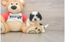 Happy Teddy Bear Baby