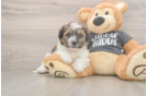 Friendly Teddy Bear Baby