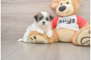Best Teddy Bear Baby