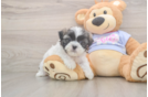 Best Teddy Bear Baby
