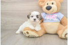 Cute Teddy Bear Baby
