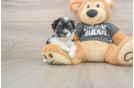 Happy Teddy Bear Baby
