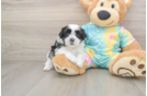 Best Teddy Bear Baby