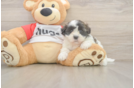 Cute Teddy Bear Baby
