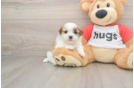 Friendly Teddy Bear Baby