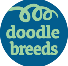 Doodle Breeds Puppies For Sale - Florida Fur Babies