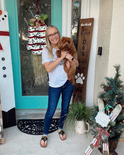 Sweet Mini Goldendoodle Pup in Auburndale FL